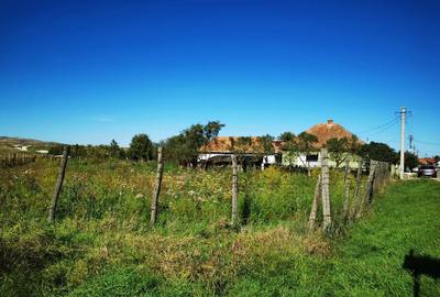 Casă cu 4 camere în Central - 1