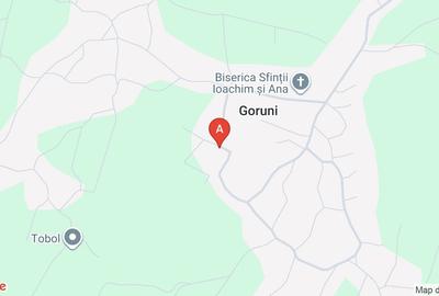 Utilitati la poarta, asfalt nou, 15 min de Iasi – casa batraneasca - 1