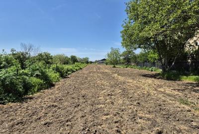 Teren intravilan 2658 mp - 1 Decembrie, Ilfov - 2