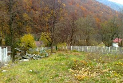 Teren de 2700 mp, în Central - 4