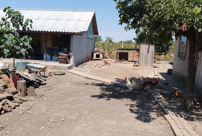 Casa de vanzare in sat LANURILE - 1