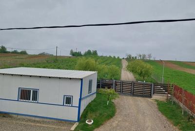 Casă cu 4 camere în Pașcani - 1