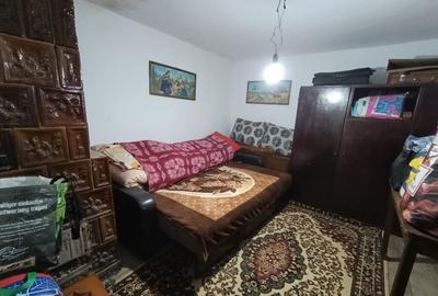 Casa caramida Teslui DJ - 8