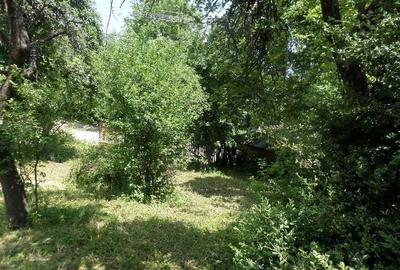 Casă cu 2 camere în Breaza - 13
