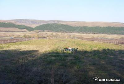 Teren Construcții extravilan de 10800 mp, în Gilău - 2