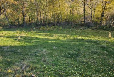 Spațiu comercial, în Central - 2