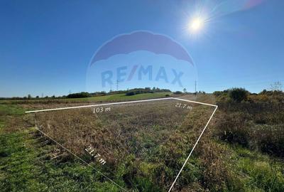 Teren de 2240 mp, în Lăpuș - 3