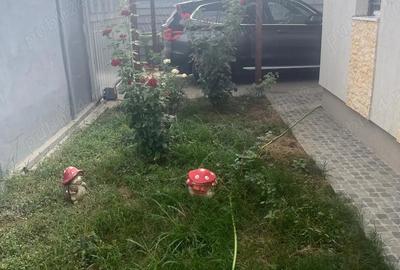 Casă în Berceni - 3