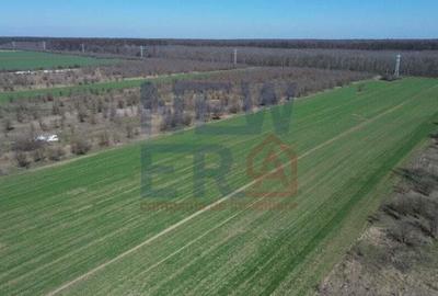 Teren de vanzare, Sabareni Teren de vanzare, Sabareni - 2