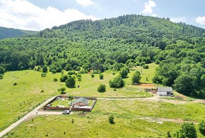 Teren Construcții intravilan de 5500 mp, în Cristian - 23