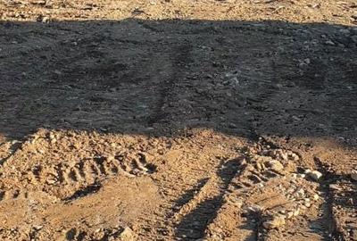 Spațiu comercial, în Dubova - 1