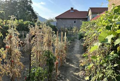 Casă cu 2 camere cu Teren 500 Mp în Central - 4