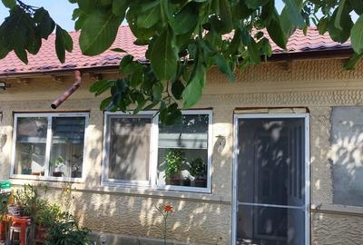 Casă cu Teren 634 Mp în Central - 3