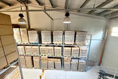 Spațiu industrial, în Exterior Vest - 9