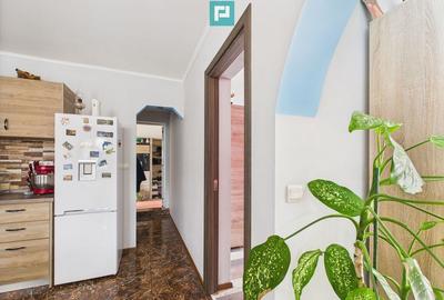 Casa spa?ioasa cu gradina in Topolova?u Mare - 36