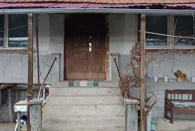 Casă cu 2 camere cu Teren 4115 Mp în Livezi - 8