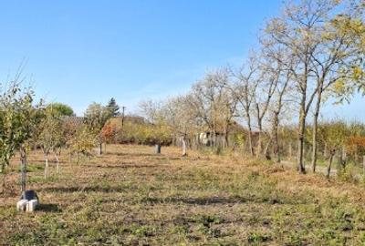 Teren intravilan 1565mp - 3