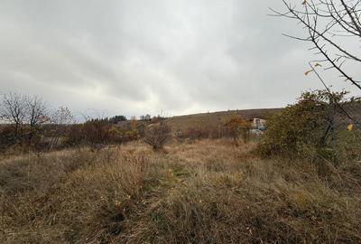 Spațiu comercial, în Ciurila - 3