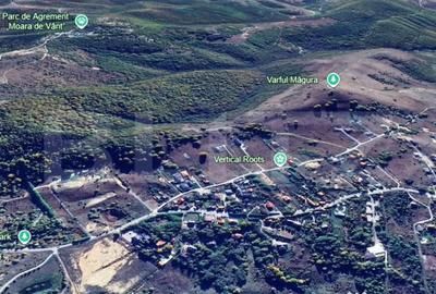 Teren de 1696 mp, în Sălicea