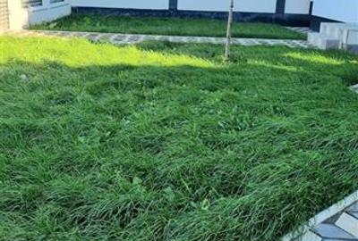 Casă individuală cu 5 camere cu Canalizare în Lumina - 4