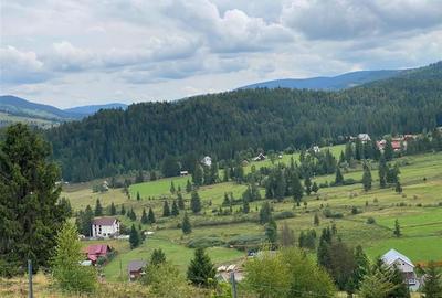 RECO Teren intravilan in Arieseni 1700mp cu Utilitati - 2