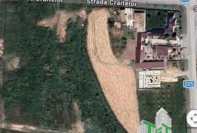 Spațiu comercial, în Pantelimon - 7