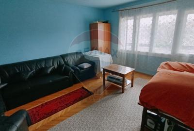 CASA + Casuta - DE VANZARE in Baia Sprie - 7
