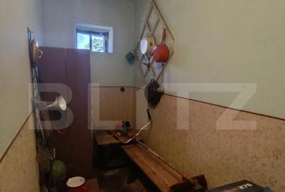 Casa cu 3 camere ?i o bucatarie de vara ?i 1300 mp teren - 15