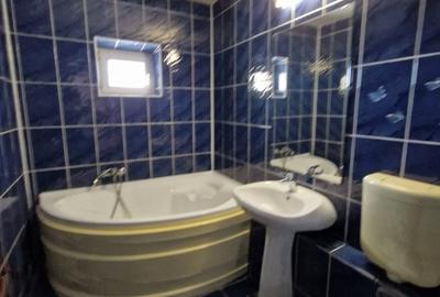 Mosilor - B-dul Carol, inchiriere ap. 2 camere mobilat - 20