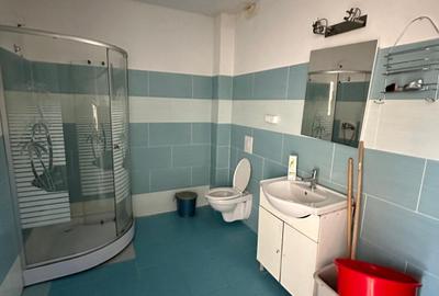 Casă de închiriat, 7 camere, 250 mp, Făget - 8