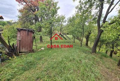 Casă cu Teren 1671 Mp în Șotrile - 4