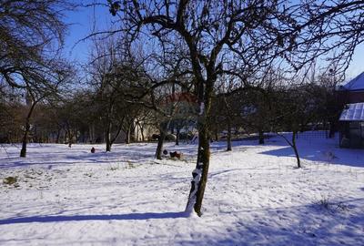 Casa de vanzare in centrul satului Desesti, Maramures - 8