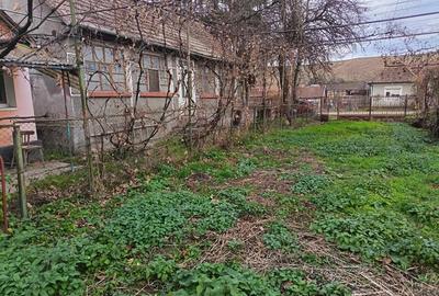Casă cu 2 camere în Gura Arieșului - 2