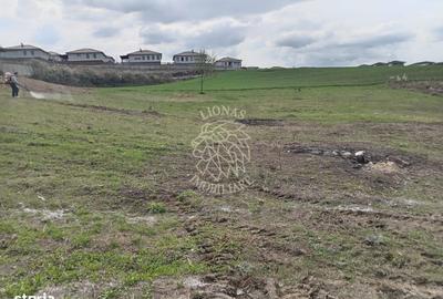 Spațiu comercial, în Dezmir