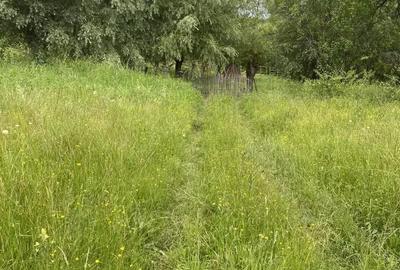 Casă cu 4 camere în Malu cu Flori - 2