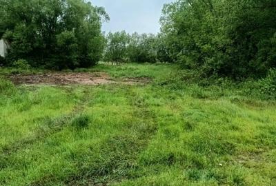 Teren de vanzare intravilan Com Fardea Jud Timis - Langa lacul Surduc - 4