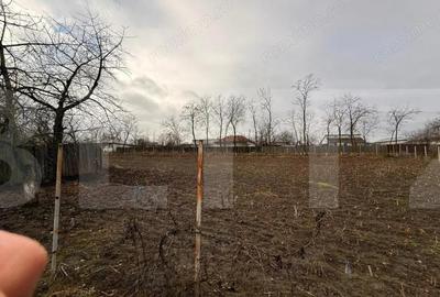 Casa Soroceni 2300mp - 7