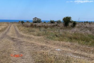 Teren de 12000 mp, în Costinești