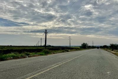 Teren intravilan Lumina, lac si canalul Dunare-Marea Neagra pentru investie - 10