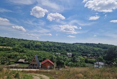 Casa  sat de vacanta Podari - 2