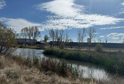 Teren intravilan 500mp, langa lac ,Pielesti - 2