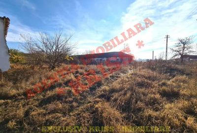 TEREN 21579 Mp. Curs Construc?ii + 4 Anexe La 35 Km Pite?ti - Buzoe?ti Stradal Ferma - 3