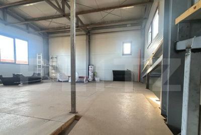 Hala de vanzare 365 mp, Mosnita Noua! - 9