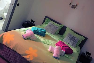 Camera regim hotelier cu jacuzzi in vila parcare privata. Se inchiriaza tot nivelul de jos 80m - 5