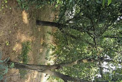 Casă cu 3 camere în Petrăchioaia - 1