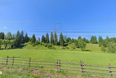 Teren de 11161 mp, în Dorna-Arini