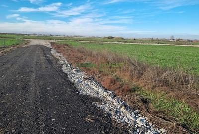 DN4 Popesti -Frumusani -  Vanzare teren 500 mp - 1