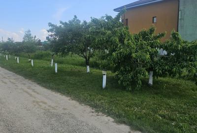 Spațiu comercial, în Afumați - 5