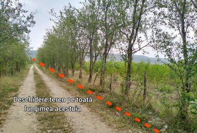 Oportunitate de investitie, teren intravilan, 6018 mp, Ungur - 2