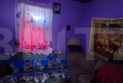 Casă cu 3 camere cu Teren 4200 Mp în Central - 4